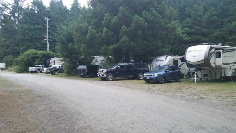 RV spots against the forest.