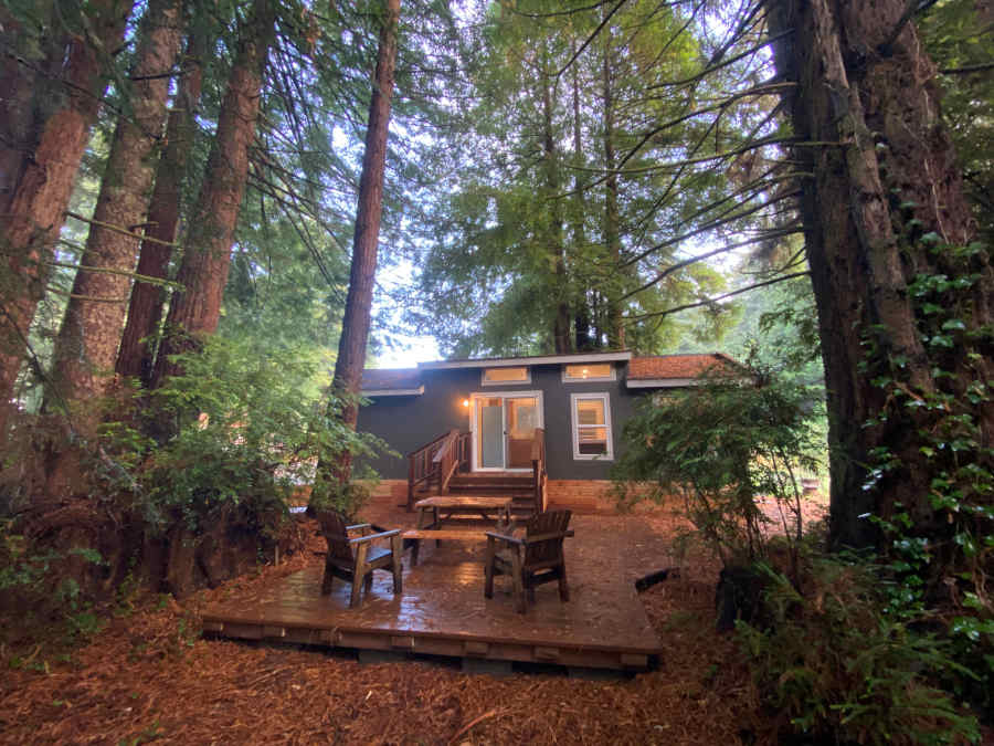 The Grey Fox cabin under the coastal redwood trees.