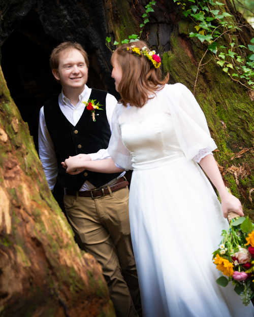 The newly wed couple walking through the big redwood tree.