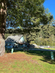 RV site standard pull-through #26