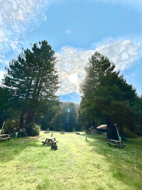 RV sites, pull-through section, wide angle shot.