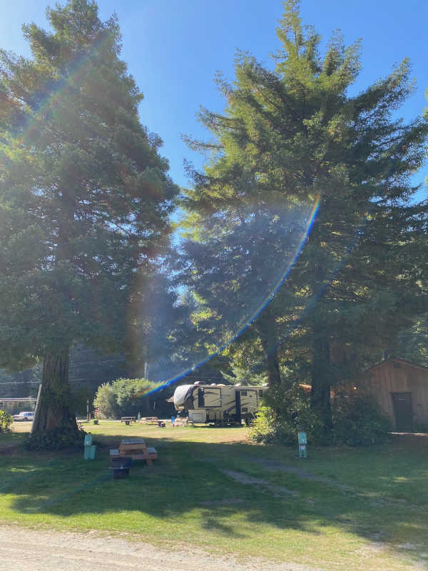 Premium pull-through site #24