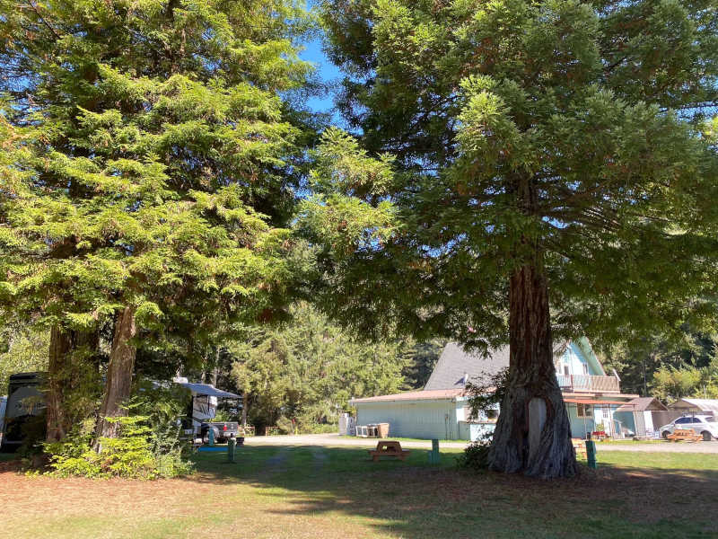 Premium pull-through, #24