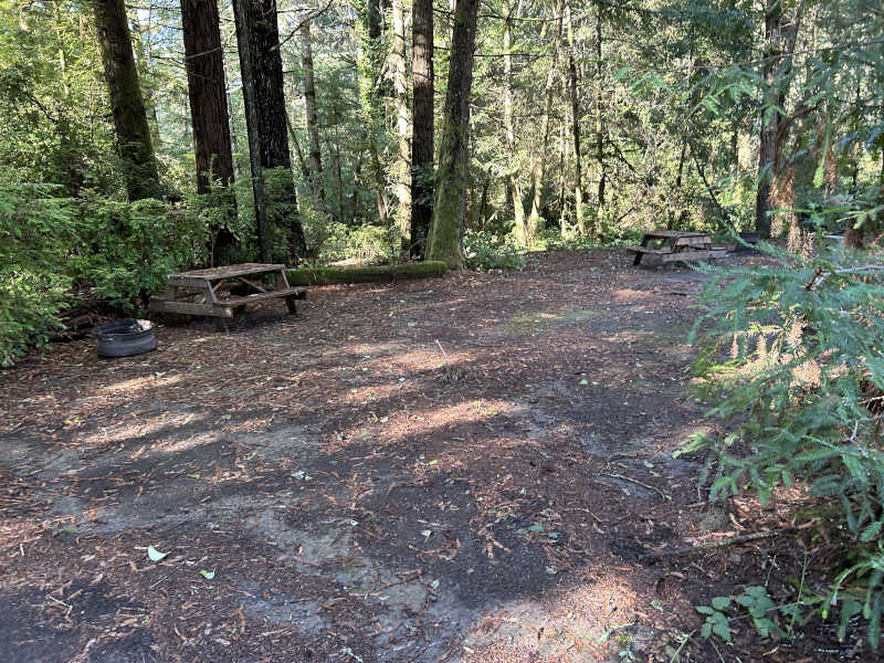 Standard RV site #4, our smallest one.