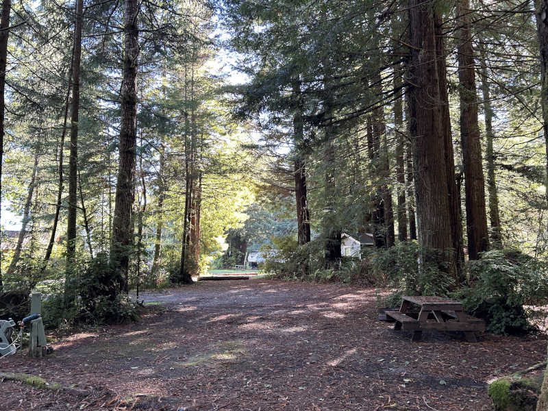 Standard RV site #4 under the redwoods