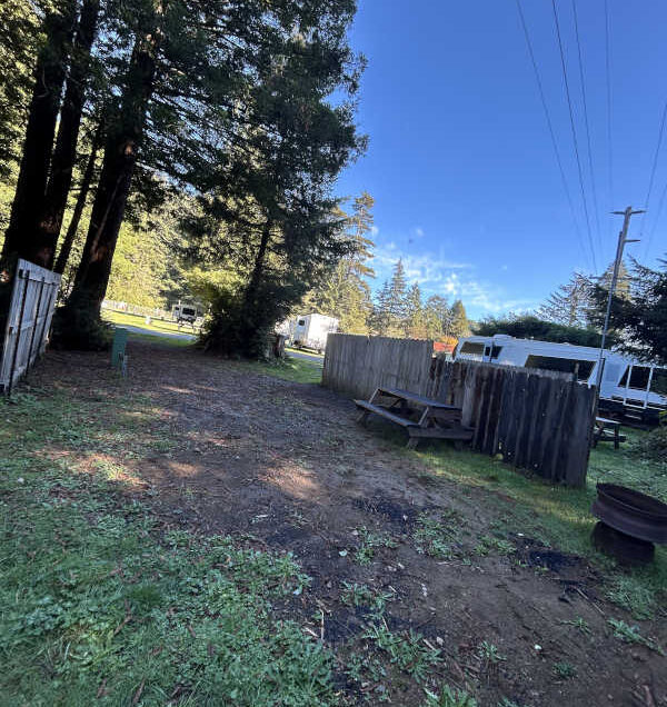 Standard back-in RV site #11, nice, little site against the forest