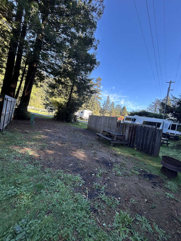 Standard back-in RV site #11, nice, little site against the forest