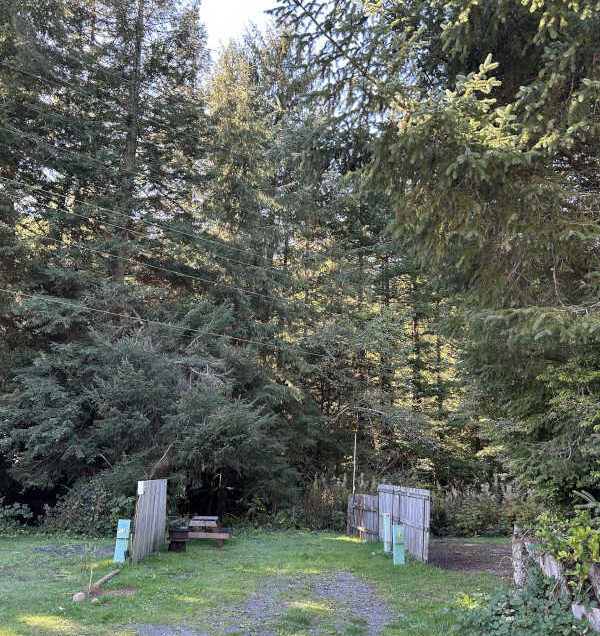 Standard back-in RV site #12 against the forest