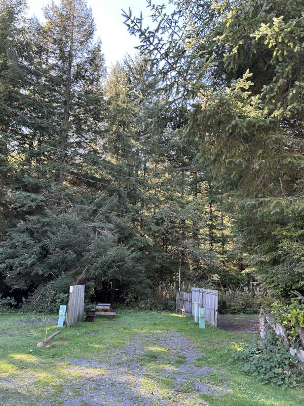 Standard back-in RV site #12 against the forest