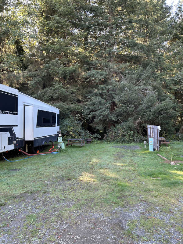 Standard back-in RV site #13