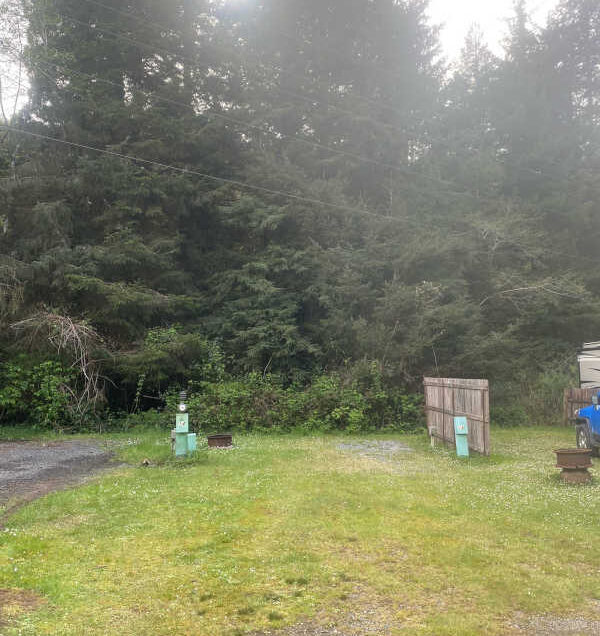 Standard back-in RV site #13 against the forest