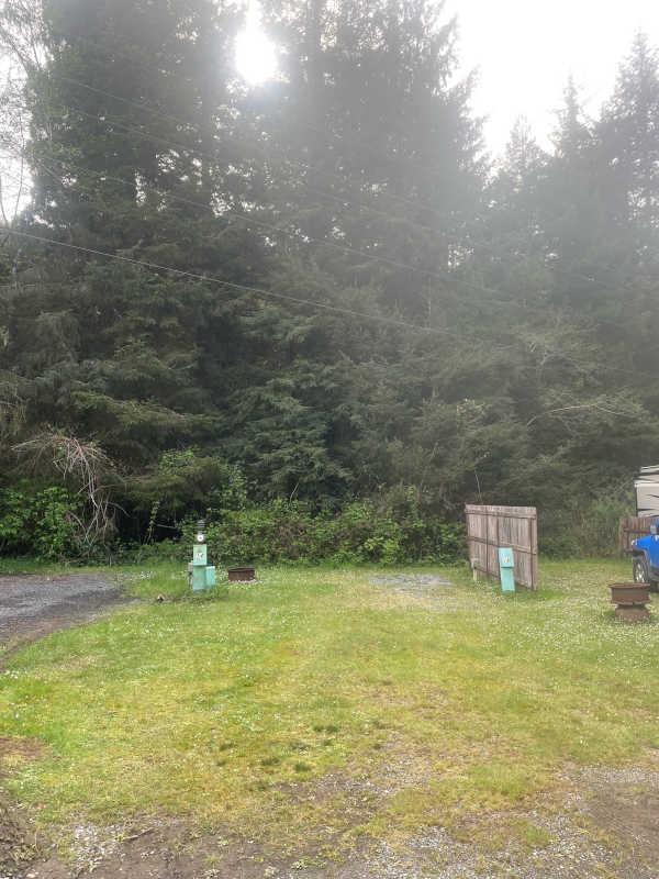 Standard back-in RV site #13 against the forest