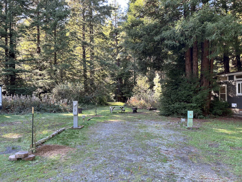 standard back-in rv site #8