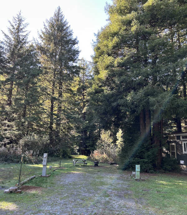 standard back-in site #8