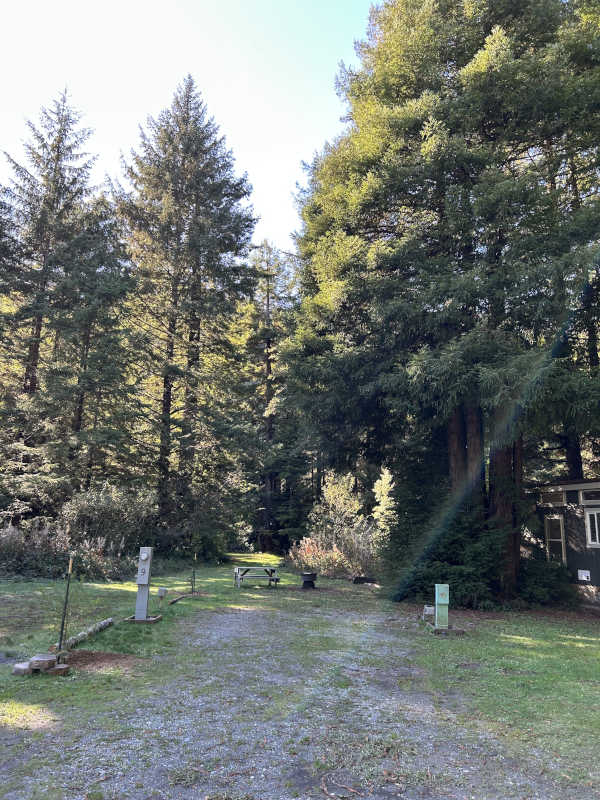 standard back-in site #8