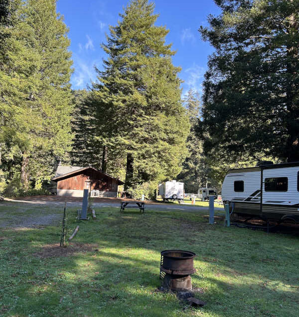 Standard back-in RV site #9, photo pointing east.