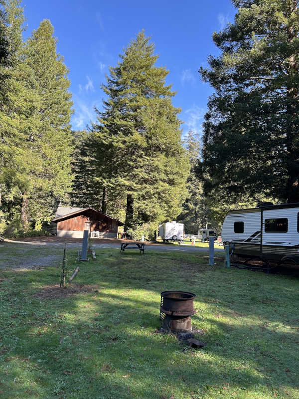 Standard back-in RV site #9, photo pointing east.