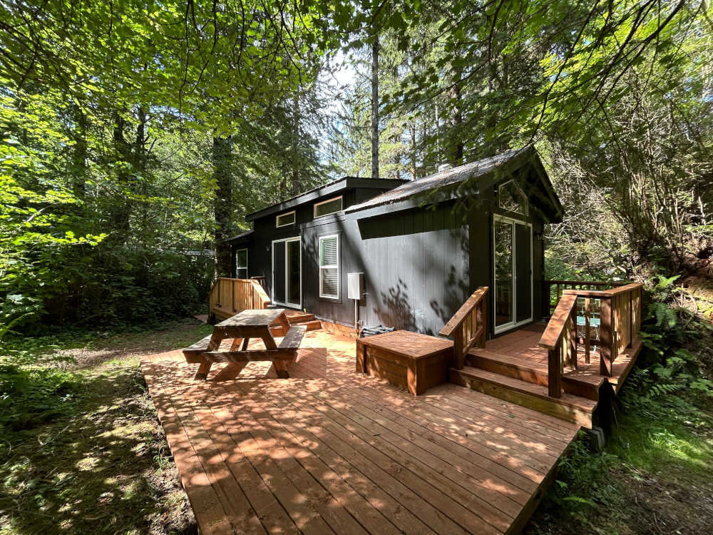 The Mossy Hideout cabin, exterior wide angle. 