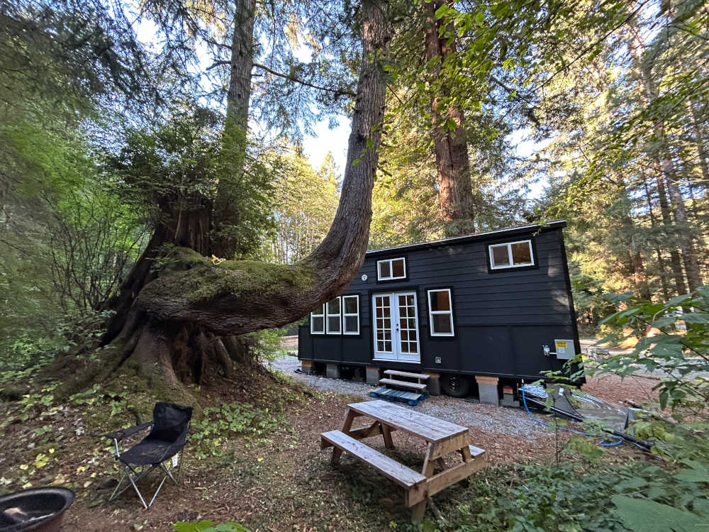 Our tiny house cabin at the Mystic Forest campground, exterior shot.